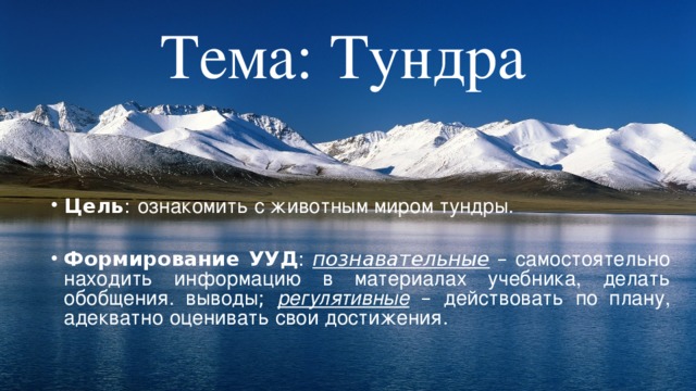 Тема: Тундра Цель : ознакомить с животным миром тундры. Формирование УУД : познавательные – самостоятельно находить информацию в материалах учебника, делать обобщения. выводы ; регулятивные – действовать по плану, адекватно оценивать свои достижения . 