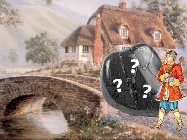 ? ? ?