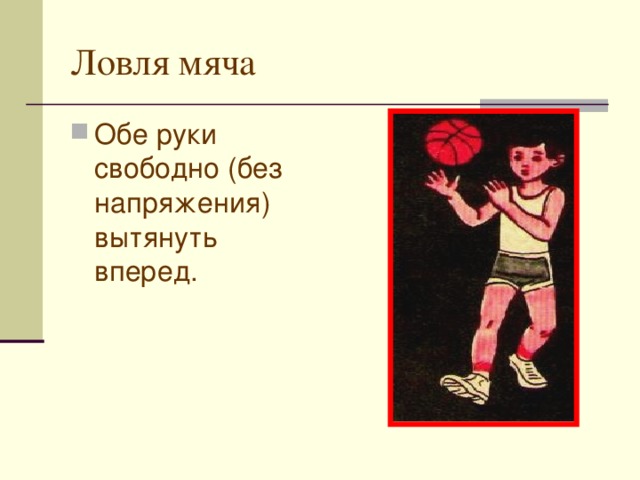 Ловля мяча Обе руки свободно (без напряжения) вытянуть вперед. 