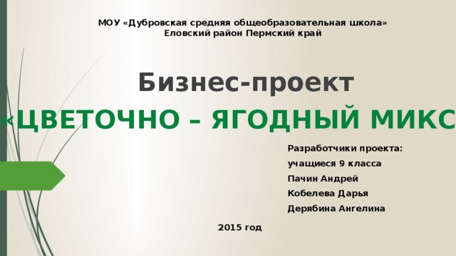 МОУ «Дубровская средняя общеобразовательная школа» Еловский район Пермский край Бизнес-проект «Цветочно – ягодный микс» Разработчики проекта: учащиеся 9 класса Пачин Андрей Кобелева Дарья Дерябина Ангелина  2015 год