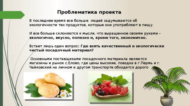 Проблематика проекта В последнее время все больше людей задумываются об экологичности тех продуктов, которые они употребляют в пищу. И все больше склоняются к мысли, что выращенное своими руками – экологично, вкусно, полезно и, кроме того, экономично. Встает лишь один вопрос : Где взять качественный и экологически чистый посадочный материал?  Основными поставщиками посадочного материала являются магазины и рынок с.Елово, где цены высокие, поездка в г.Пермь и г. Чайковский на личном и другом транспорте обходится дорого