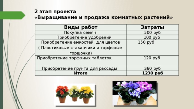 2 этап проекта «Выращивание и продажа комнатных растений»  Виды работ Покупка семян Затраты 500 руб  Приобретение удобрений 100 руб Приобретение емкостей для цветов ( Пластиковые стаканчики и торфяные горшочки)  150 руб Приобретение торфяных таблеток Приобретение грунта для рассады 120 руб 360 руб Итого 1230 руб