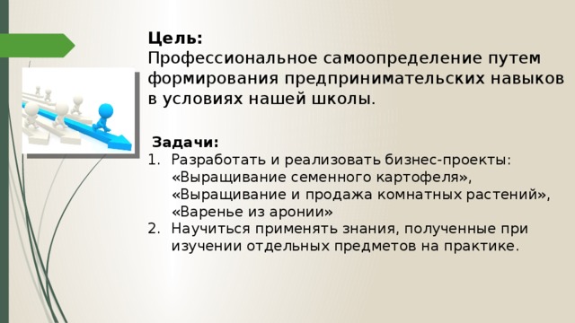 Цель: Профессиональное самоопределение путем формирования предпринимательских навыков в условиях нашей школы.   Задачи: Разработать и реализовать бизнес-проекты: «Выращивание семенного картофеля», « Выращивание и продажа комнатных растений», «Варенье из аронии» Научиться применять знания, полученные при изучении отдельных предметов на практике.