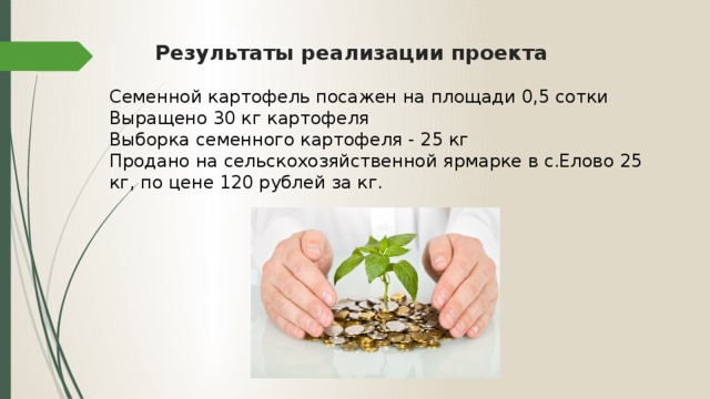 Результаты реализации проекта Семенной картофель посажен на площади 0,5 сотки Выращено 30 кг картофеля Выборка семенного картофеля - 25 кг Продано на сельскохозяйственной ярмарке в с.Елово 25 кг, по цене 120 рублей за кг.