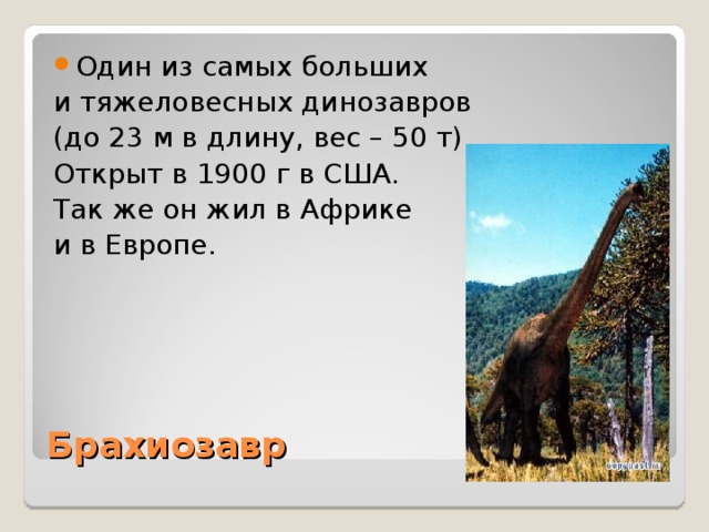 Брахиозавр 