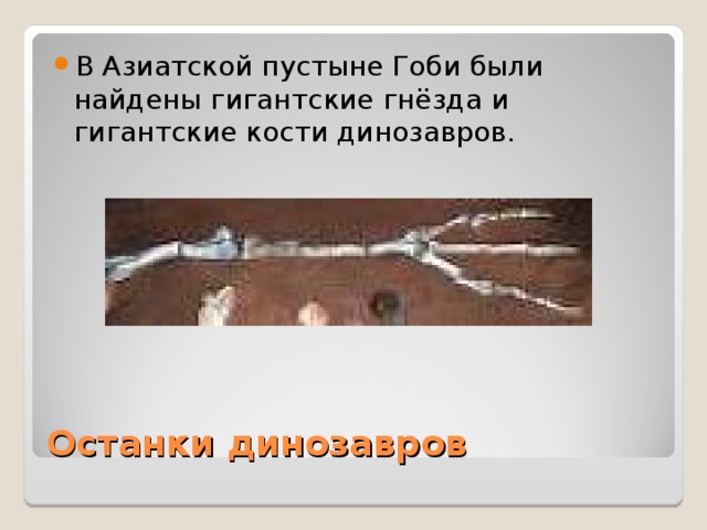 Останки динозавров 
