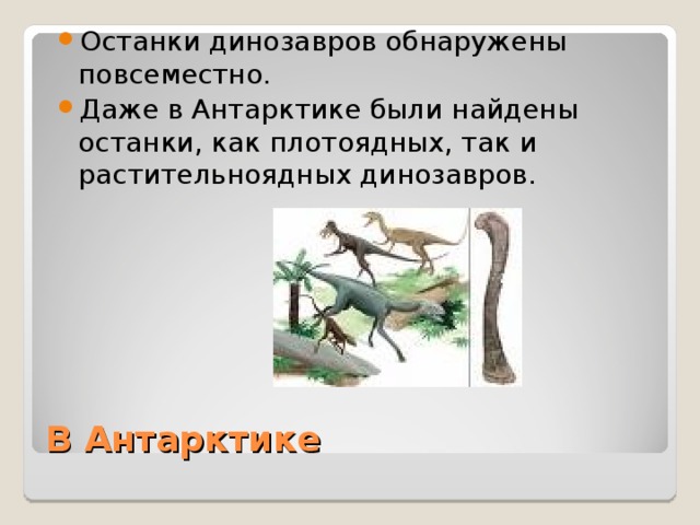 Останки динозавров обнаружены повсеместно. Даже в Антарктике были найдены останки, как плотоядных, так и растительноядных динозавров. В Антарктике 