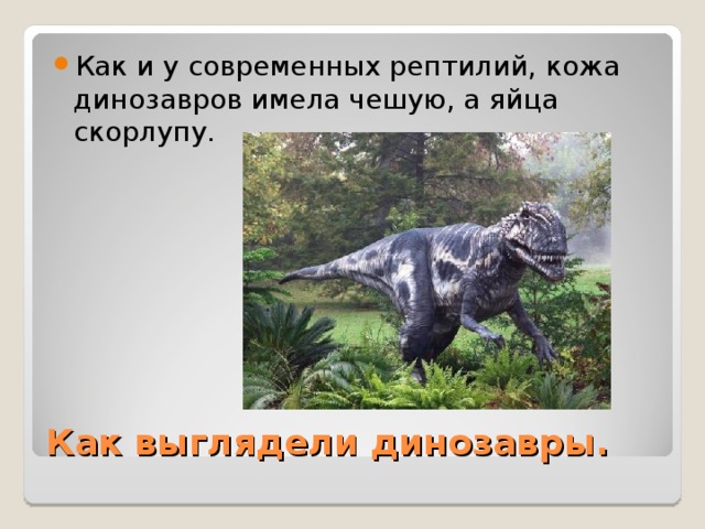 Как и у современных рептилий, кожа динозавров имела чешую, а яйца скорлупу.  Как выглядели динозавры. 