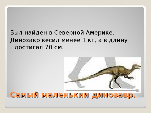 Самый маленький динозавр. 