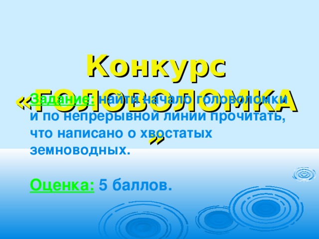  Конкурс «ГОЛОВОЛОМКА»  Задание:  найти начало головоломки и по непрерывной линии прочитать, что написано о хвостатых земноводных.  Оценка: 5 баллов.  