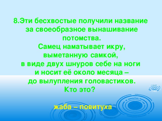   8.Эти бесхвостые получили название за своеобразное вынашивание потомства.  Самец наматывает икру, выметанную самкой, в виде двух шнуров себе на ноги и носит её около месяца –  до вылупления головастиков. Кто это?   жаба – повитуха  