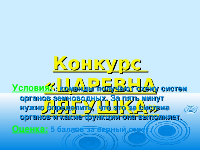   Конкурс  «ЦАРЕВНА ЛЯГУШКА»  Условия:  :  команды получают схему систем органов земноводных. За пять минут нужно определить, что это за система органов и какие функции она выполняет . Оценка:  5 баллов за верный ответ.  