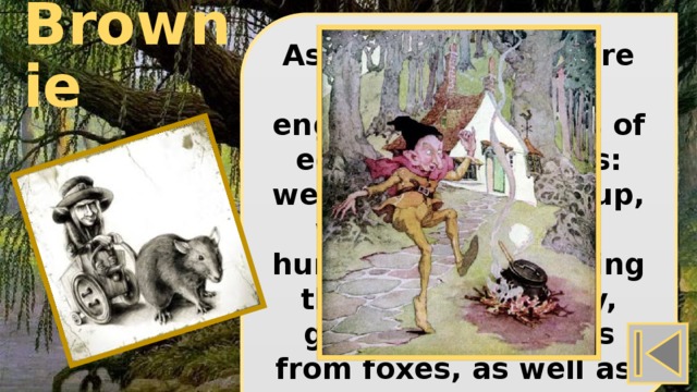 As long as people are resting, Brown engaged in all kinds of economic activities: weave, cook, clean up, wash, engaged in human tools, watching their serviceability, guard the chickens from foxes, as well as Brownie 