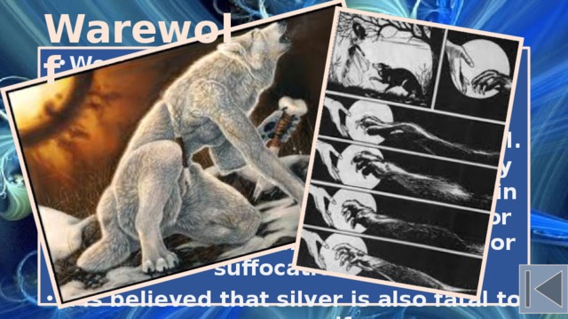 Warewolf Werewolves are not subject to aging and physical illness because of constant regeneration of tissues. Therefore, they are virtually immortal. However, they can be killed, mortally wounding the heart or the brain, or in other ways that damage the heart or the brain (for example, by hanging or suffocation). It is believed that silver is also fatal to a werewolf. 