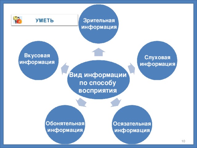 Зрительная информация Вкусовая информация Слуховая информация Вид информации по способу восприятия Обонятельная информация Осязательная информация