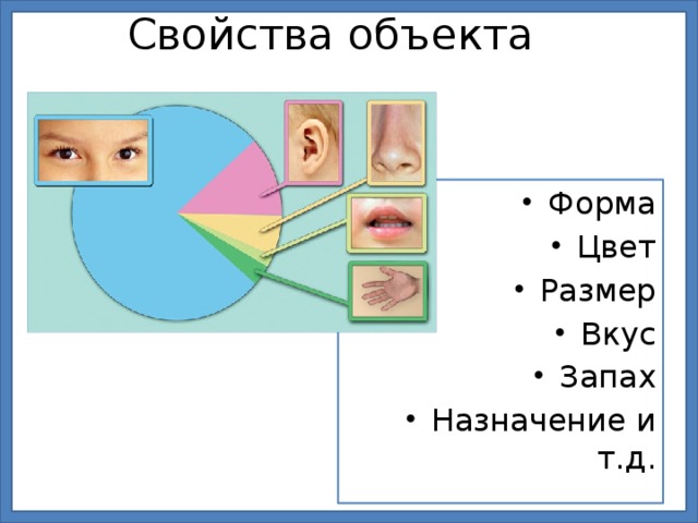 Свойства объекта