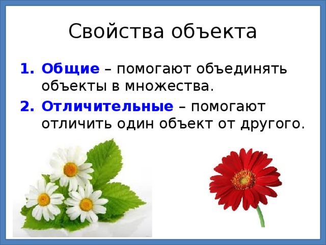 Свойства объекта