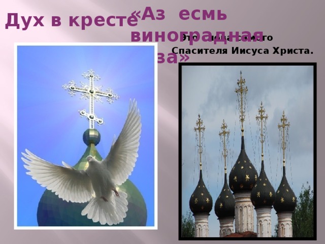 «Аз есмь виноградная лоза» Дух в кресте     Это слова самого Спасителя Иисуса Христа.