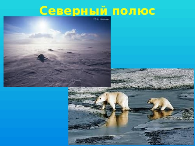 Северный полюс 