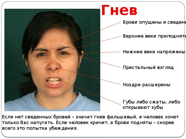 Гнев Брови опущены и сведены Верхние веки приподняты Нижние веки напряжены Пристальный взгляд Ноздри расширены Губы либо сжаты, либо открывают зубы Если нет сведенных бровей – значит гнев фальшивый, и человек хочет только Вас напугать. Если человек кричит, а брови подняты – скорее всего это попытка убеждения. 