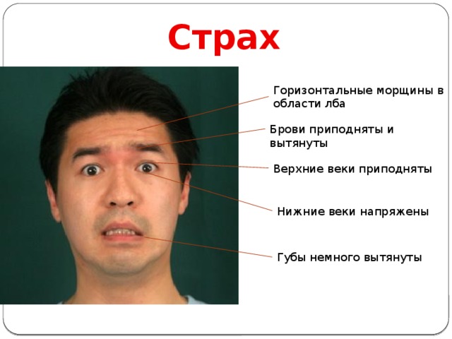 Страх Горизонтальные морщины в области лба Брови приподняты и вытянуты Верхние веки приподняты Нижние веки напряжены Губы немного вытянуты 