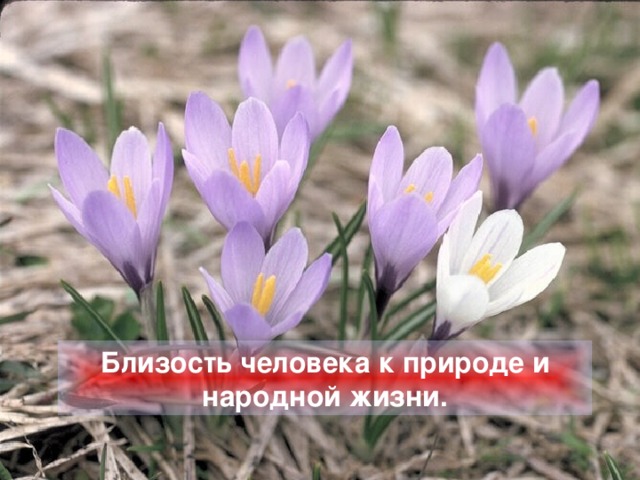 Близость человека к природе и народной жизни.