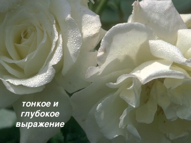 тонкое и глубокое выражение