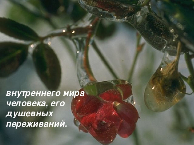 внутреннего мира человека, его душевных переживаний.