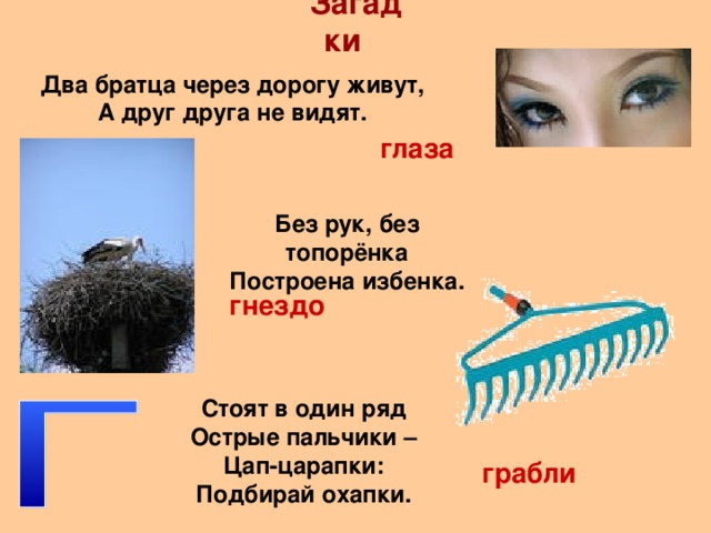 Загадки Два братца через дорогу живут, А друг друга не видят. глаза Без рук, без топорёнка Построена избенка. гнездо Стоят в один ряд Острые пальчики – Цап-царапки: Подбирай охапки. грабли 