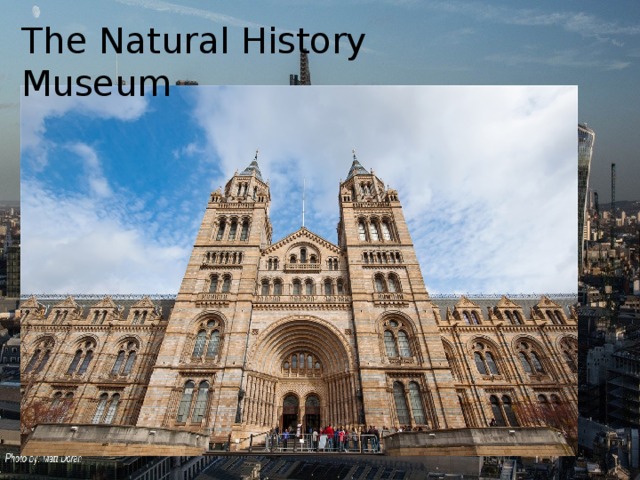 The Natural History Museum 