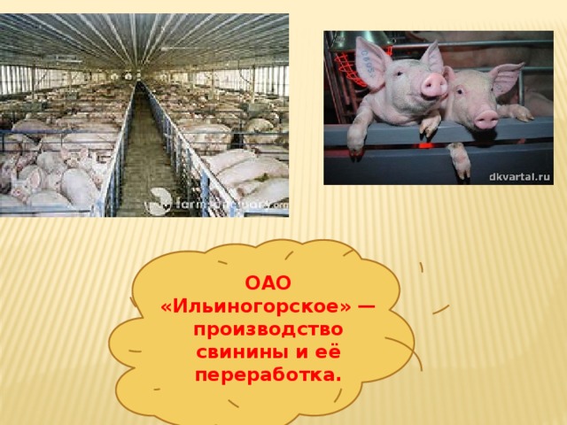 ОАО «Ильиногорское» — производство свинины и её переработка. 