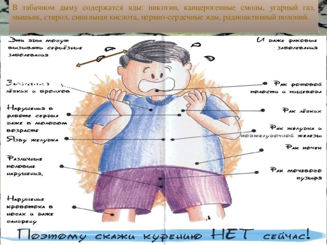 В табачном дыму содержатся яды: никотин, канцерогенные смолы, угарный газ, мышьяк, стирол, синильная кислота, нервно-сердечные яды, радиоактивный полоний. Нервно-психические заболевания   