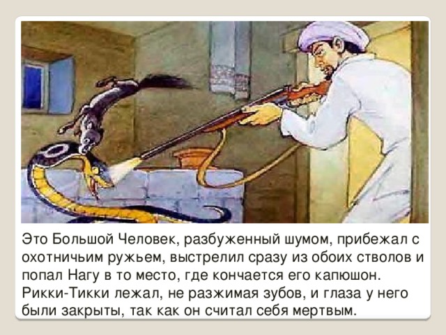 Презентация киплинг рикки тикки тави