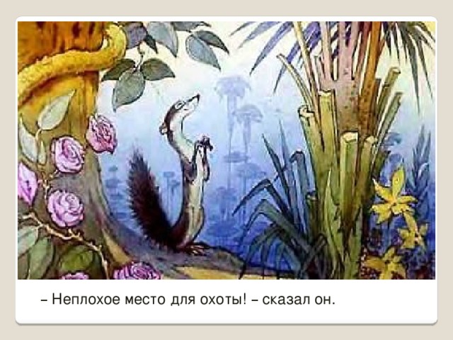 Рики тики тави картинки из мультика