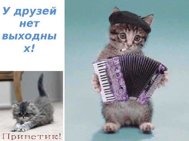 У друзей нет выходных!