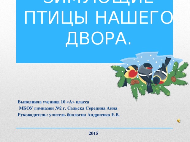 ЗИМУЮЩИЕ ПТИЦЫ НАШЕГО ДВОРА. Выполнила ученица 10 «А» класса  МБОУ гимназии №2 г. Сальска Середина Анна Руководитель: учитель биологии Андриенко Е.В. 2015 