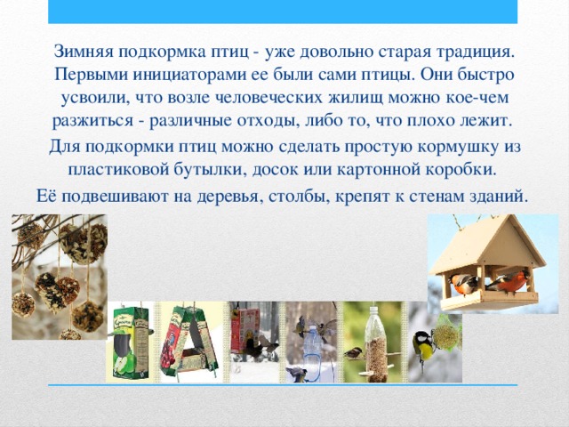 Зимняя подкормка птиц - уже довольно старая традиция. Первыми инициаторами ее были сами птицы. Они быстро усвоили, что возле человеческих жилищ можно кое-чем разжиться - различные отходы, либо то, что плохо лежит. Для подкормки птиц можно сделать простую кормушку из пластиковой бутылки, досок или картонной коробки. Её подвешивают на деревья, столбы, крепят к стенам зданий. 