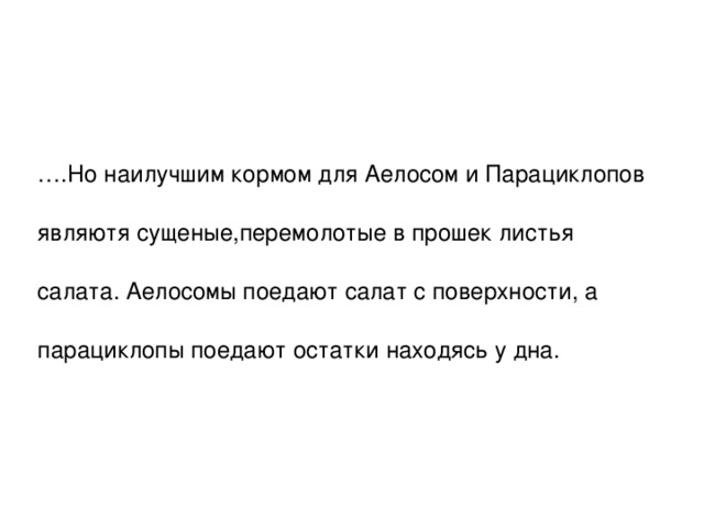 … .Но наилучшим кормом для Аелосом и Парациклопов являютя сущеные,перемолотые в прошек листья салата. Аелосомы поедают салат с поверхности, а парациклопы поедают остатки находясь у дна. 