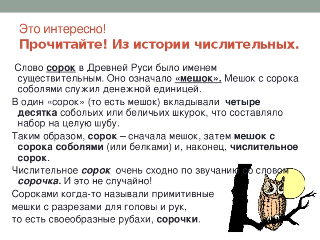 Это интересно!  Прочитайте! Из истории числительных.  Слово сорок в Древней Руси было именем существительным. Оно означало «мешок». Мешок с сорока соболями служил денежной единицей. В один «сорок» (то есть мешок) вкладывали четыре десятка собольих или беличьих шкурок, что составляло набор на целую шубу. Таким образом, сорок – сначала мешок, затем мешок с сорока соболями (или белками) и, наконец, числительное сорок . Числительное сорок  очень сходно по звучанию со словом сорочка . И это не случайно! Сороками когда-то называли примитивные мешки с разрезами для головы и рук, то есть своеобразные рубахи, сорочки . 