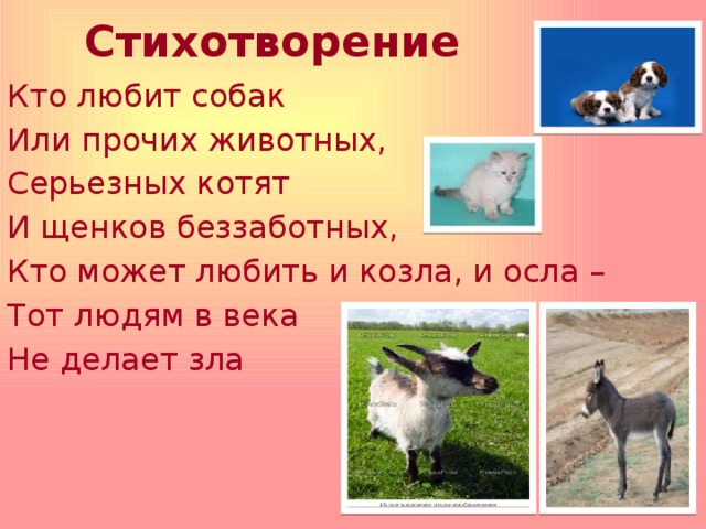 Стихотворение   Кто любит собак Или прочих животных, Серьезных котят И щенков беззаботных, Кто может любить и козла, и осла – Тот людям в века Не делает зла                                                                                                        
