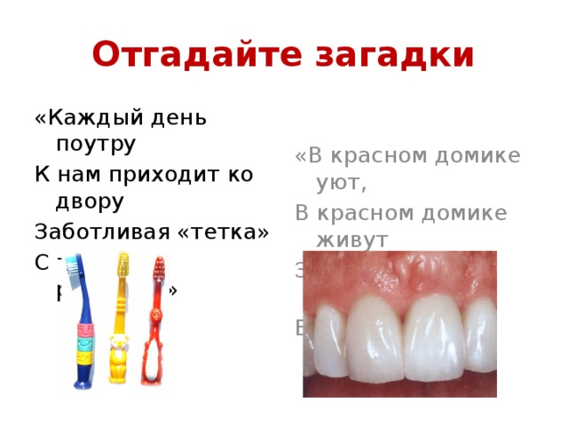 Отгадайте загадки «Каждый день поутру «В красном домике уют, К нам приходит ко двору В красном домике живут Заботливая «тетка» За розовыми губками С толстой ручкой... » Беленькие...»