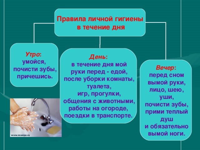 Правила личной гигиены  в течение дня Утро :  умойся,  почисти зубы,  причешись. День :  в течение дня мой  руки перед - едой,  после уборки комнаты,  туалета,  игр, прогулки,  общения с животными,  работы на огороде, поездки в транспорте. Вечер :  перед сном  вымой руки,  лицо, шею,  уши,  почисти зубы,  прими теплый  душ  и обязательно  вымой ноги. 