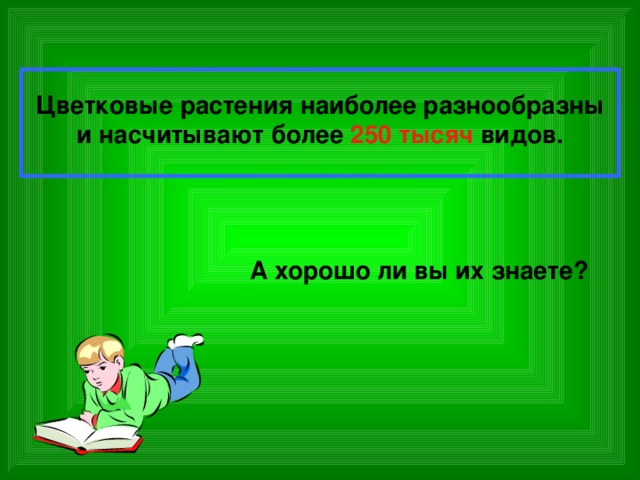 Цветковые растения наиболее разнообразны и насчитывают более 250 тысяч видов. А хорошо ли вы их знаете? 