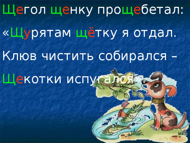 Щ е гол щ е нку про щ е бетал: « Щ у рятам щ ё тку я отдал. Клюв чистить собирался – Щ е котки испугался». 