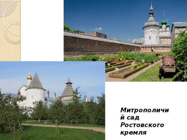 Митрополичий сад Ростовского кремля 