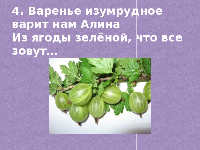 4. Варенье изумрудное варит нам Алина  Из ягоды зелёной, что все зовут…
