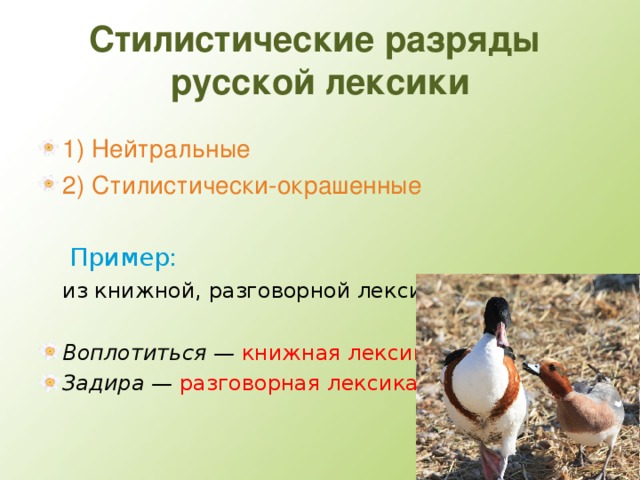 Стилистические разряды  русской лексики 1) Нейтральные 2) Стилистически-окрашенные    Пример:   из книжной, разговорной лексики Воплотиться — книжная лексика Задира — разговорная лексика   