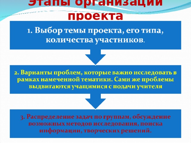 Этапы организации проекта   