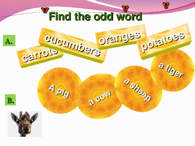 A pig  a cow  a sheep a tiger   carrots   cucumbers   oranges   potatoes   Find the odd word А. B . 12 12 12 