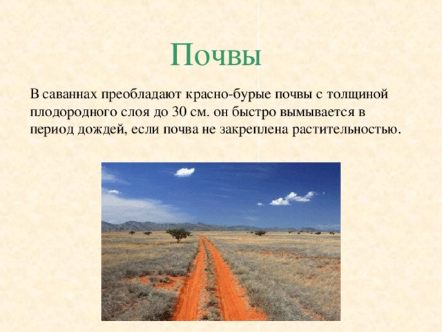 Почвы В саваннах преобладают красно-бурые почвы с толщиной плодородного слоя до 30 см. он быстро вымывается в период дождей, если почва не закреплена растительностью. 